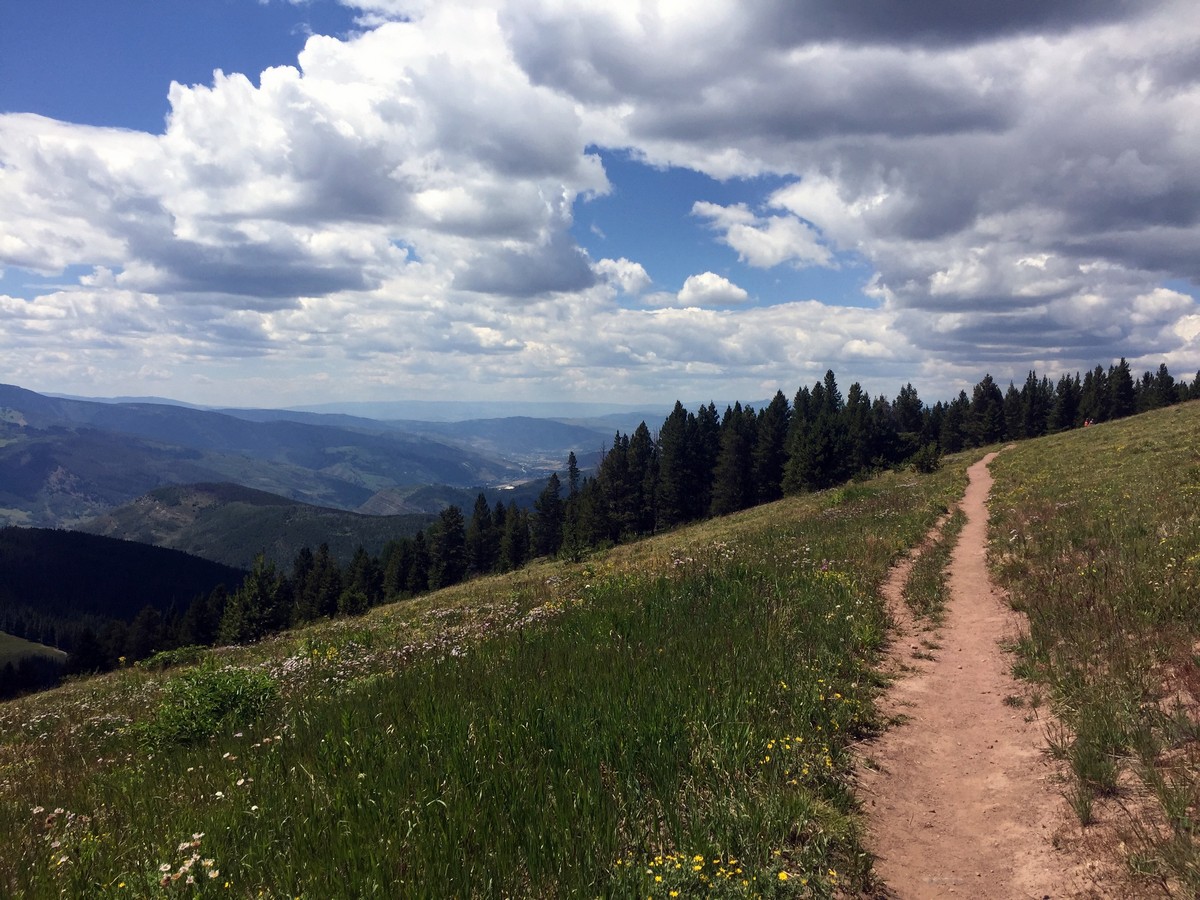 Open meadows on the Ridge Route Hike near Vail, Colorado