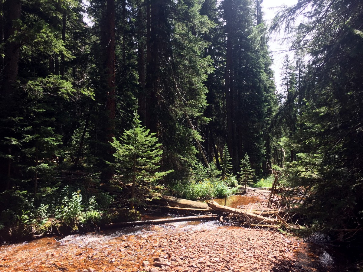 Beautiful creek on the Bighorn Creek Trail Hike near Vail, Colorado