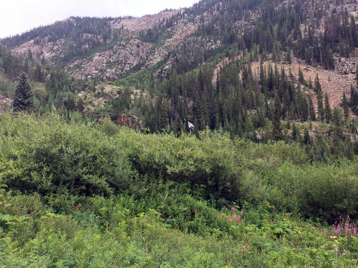 Waterfall from the Bighorn Creek Trail Hike near Vail, Colorado