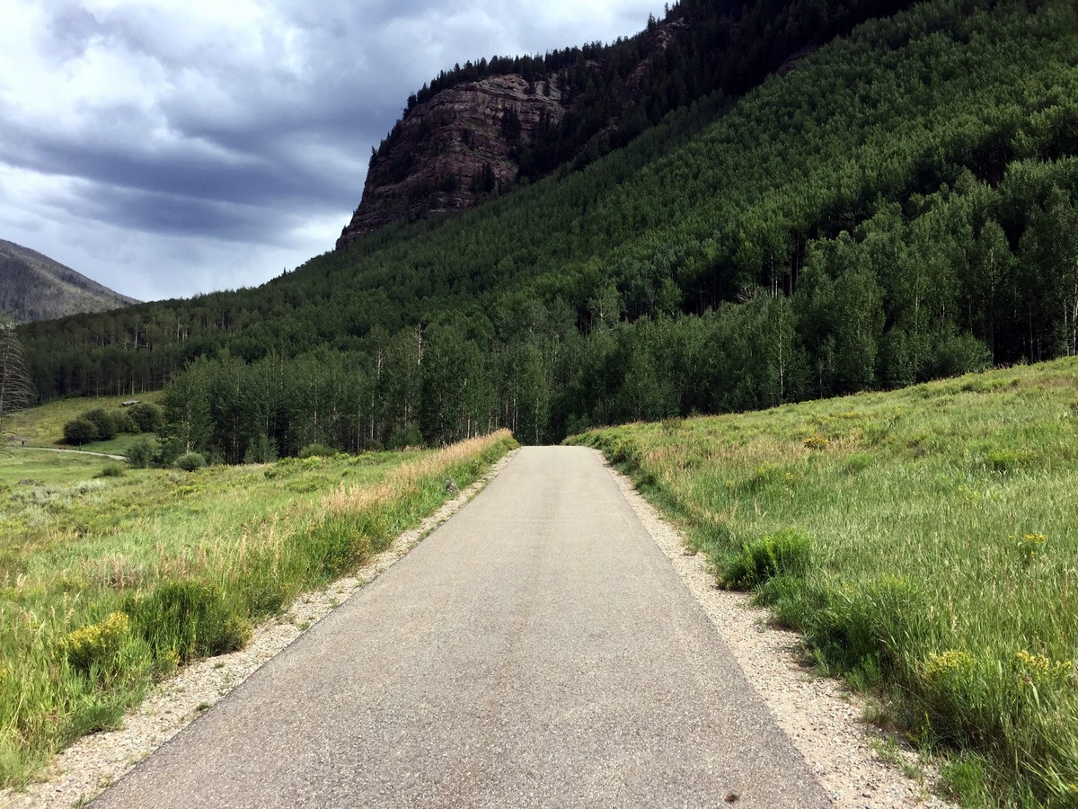 View of the forest on the Gore Valley Trail (East Vail) Hike near Vail, Colorado