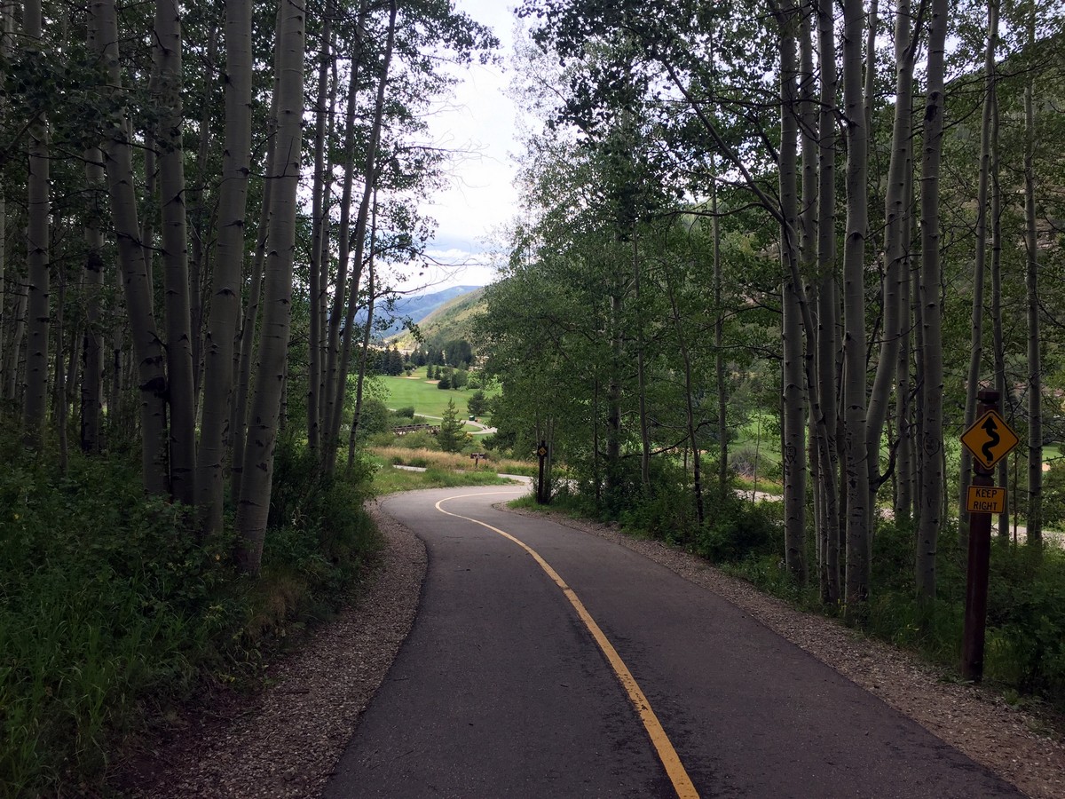 Path through aspens on the Gore Valley Trail (East Vail) Hike near Vail, Colorado