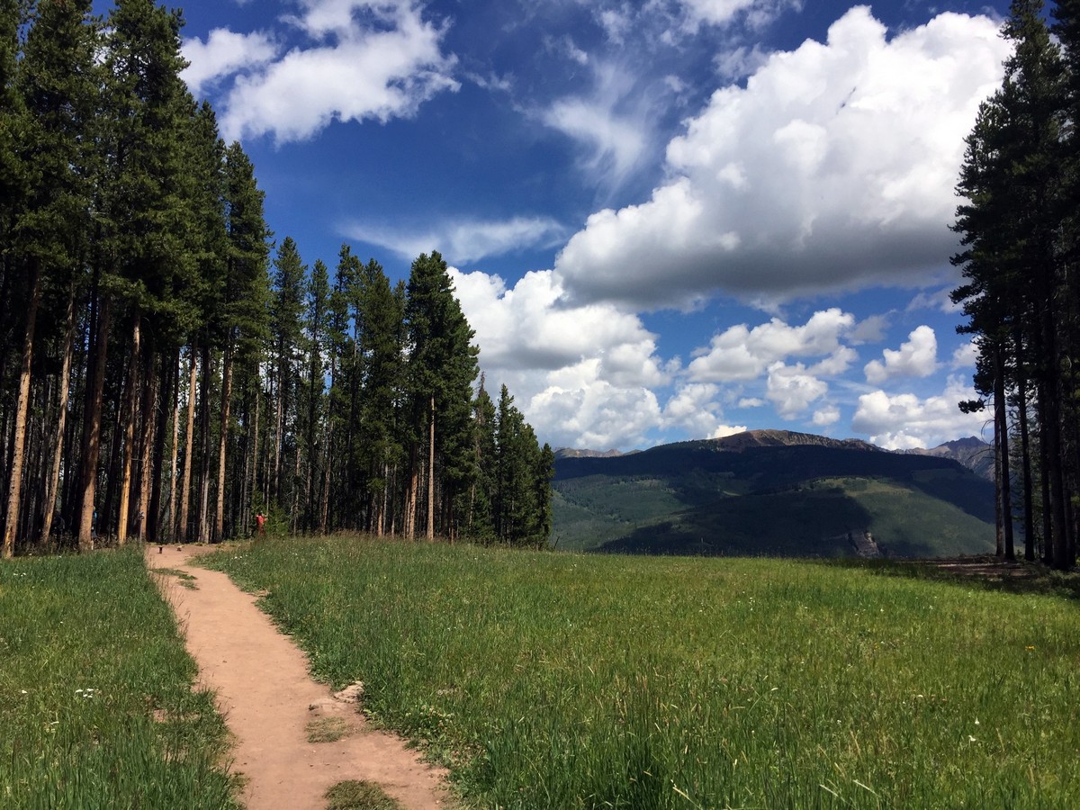 The flat part of the trail on the Berry Picker Trail Hike near Vail, Colorado