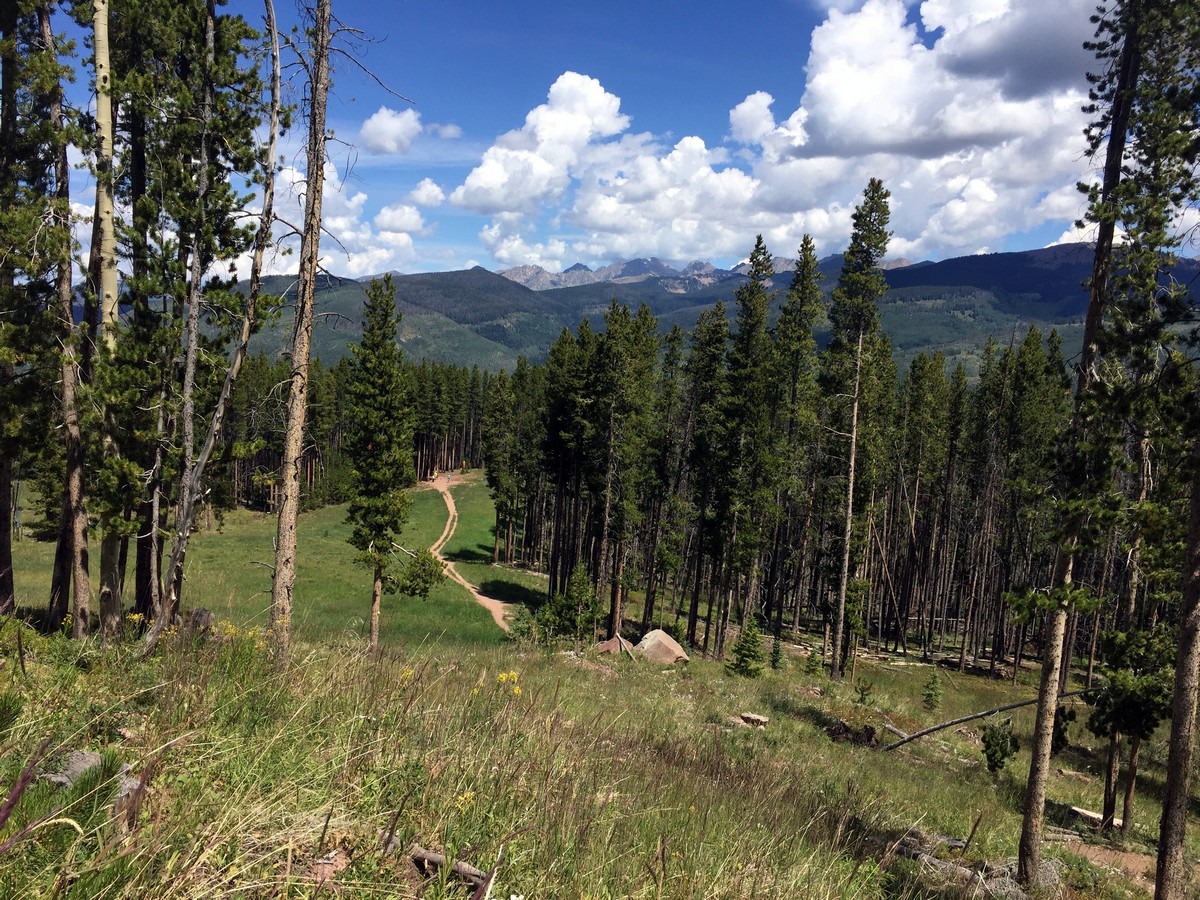 Gore Range view from the Berrypicker Trail Hike near Vail, Colorado