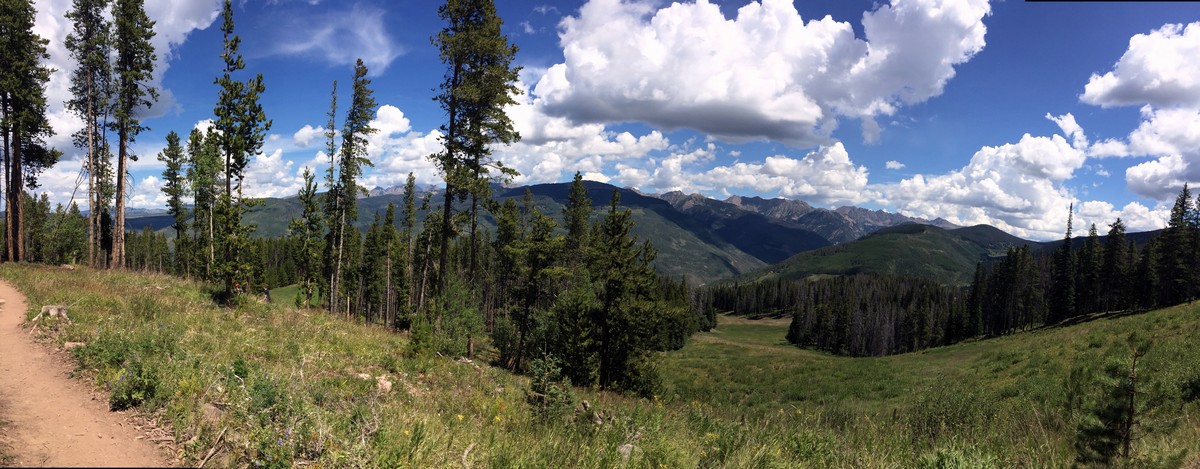 Views of the Berry Picker Trail Hike near Vail, Colorado