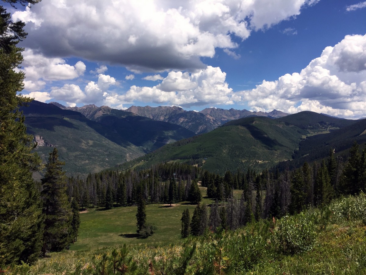 Gore Range on the Berrypicker Trail Hike near Vail, Colorado