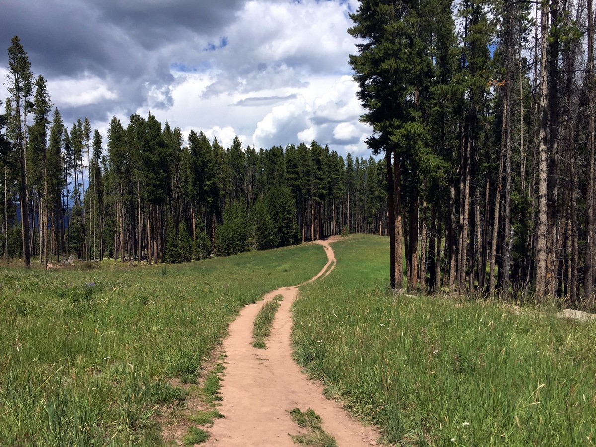 Last part of the trail of the Berrypicker Trail Hike near Vail, Colorado