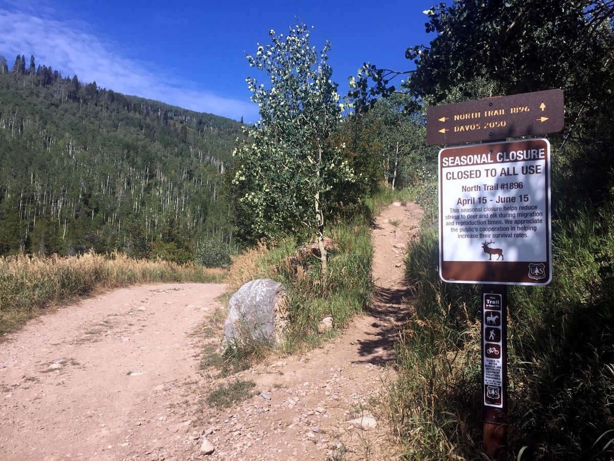 The beginning of the trail of the Davos Trail Hike near Vail, Colorado