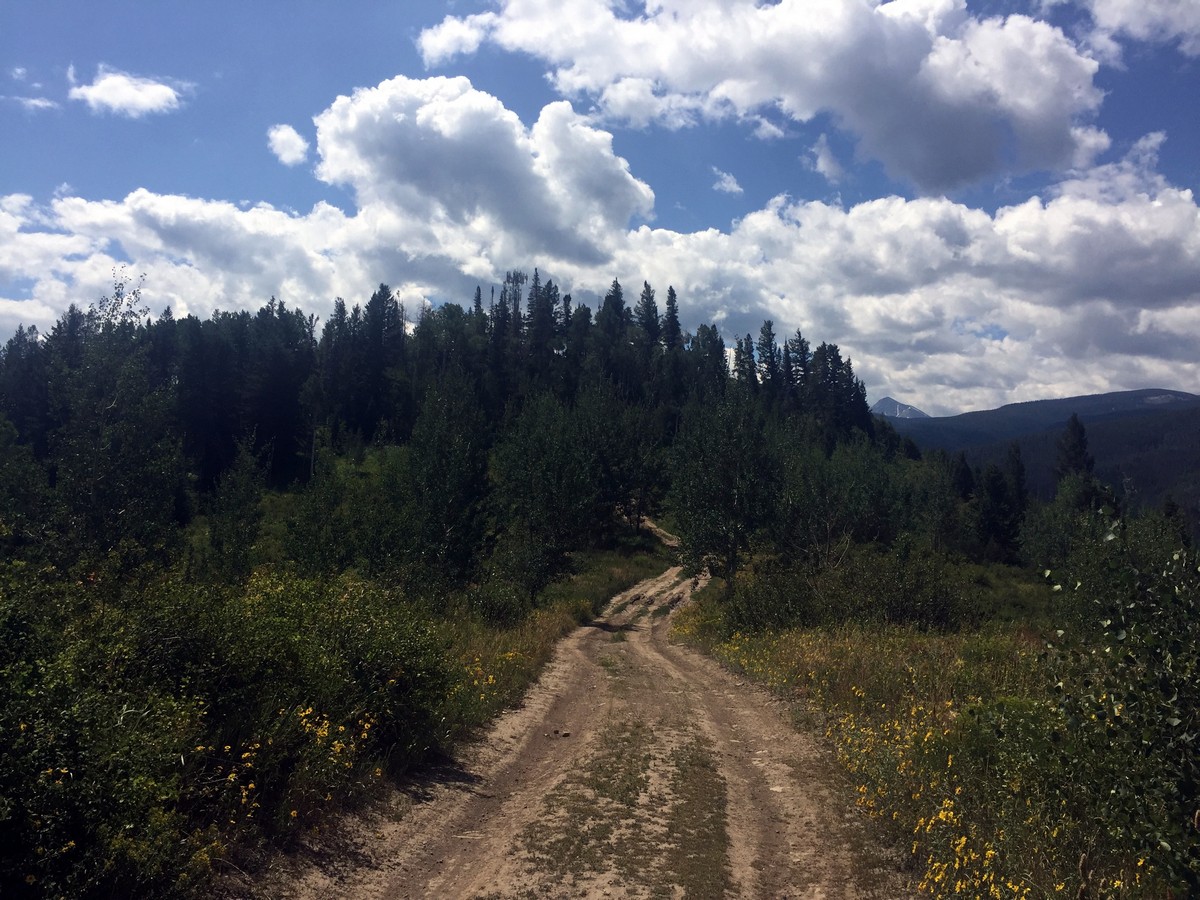Last part of the trail of the Davos Trail Hike near Vail, Colorado