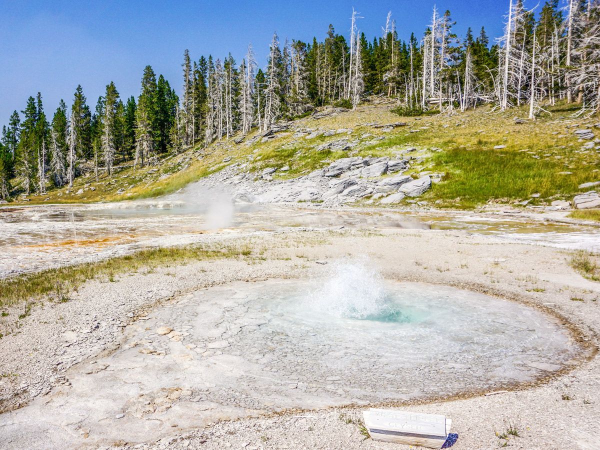 Energetic geysers on the Upper Geyser Basin Hike in Yellowstone National Park, Wyoming