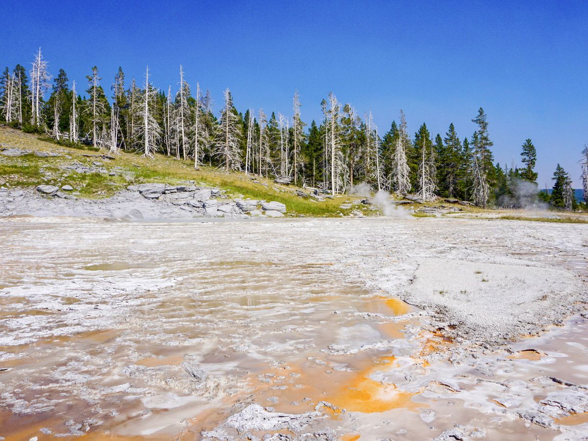 Scenery on the Upper Geyser Basin Hike in Yellowstone National Park, Wyoming