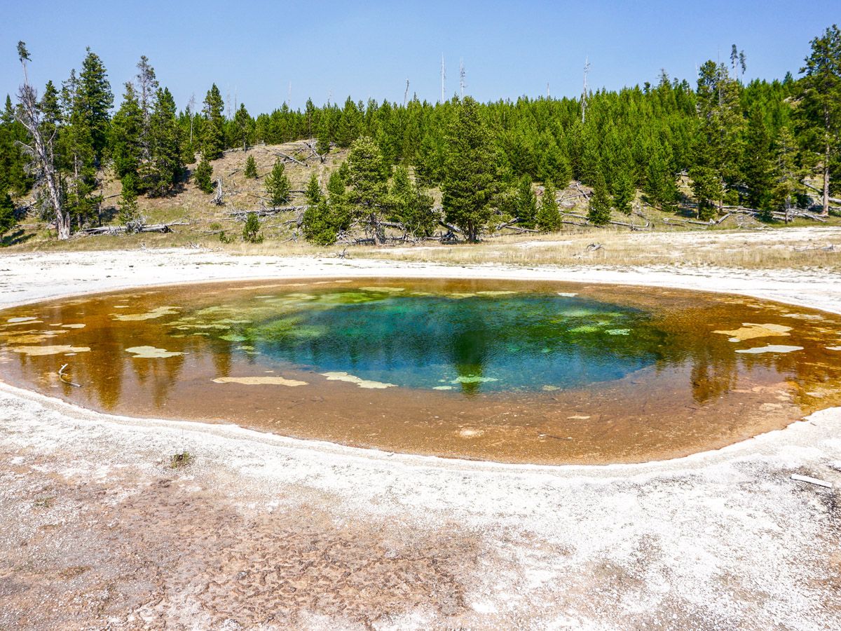 Upper Geyser Basin trail in Yellowstone National Park, Wyoming