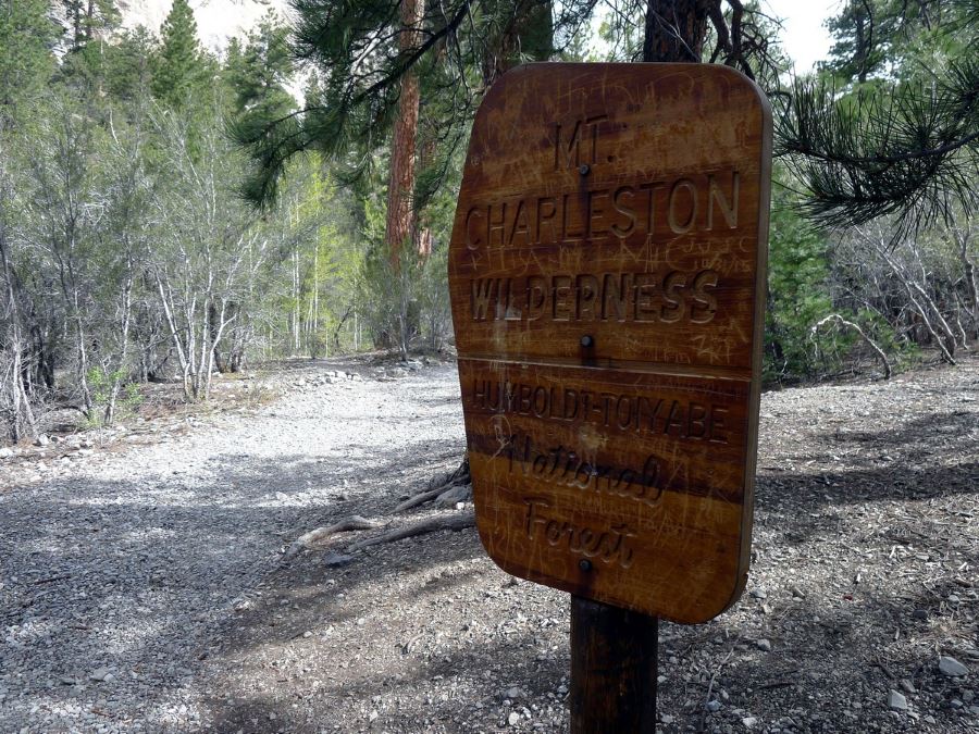 Visiting Charleston Wilderness should be included when planning your trip to Las Vegas