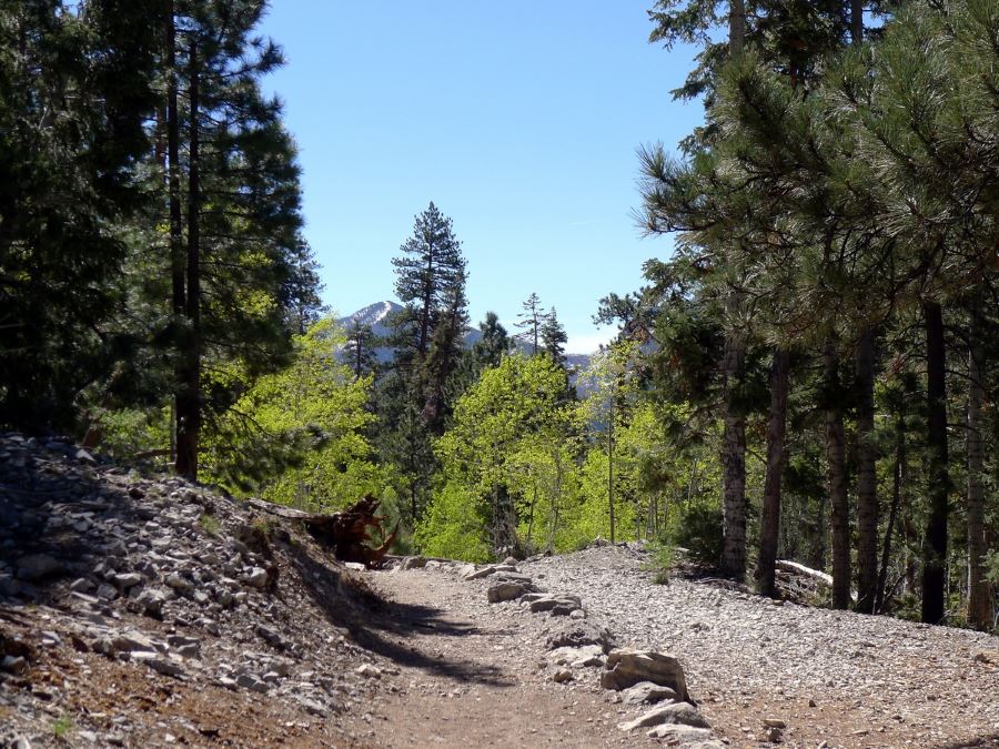 Choose one of lots of beautiful trails for your trip to Las Vegas