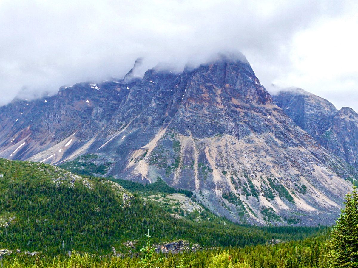 Mountain views from the Verdant Pass Hike in Jasper National Park, Alberta