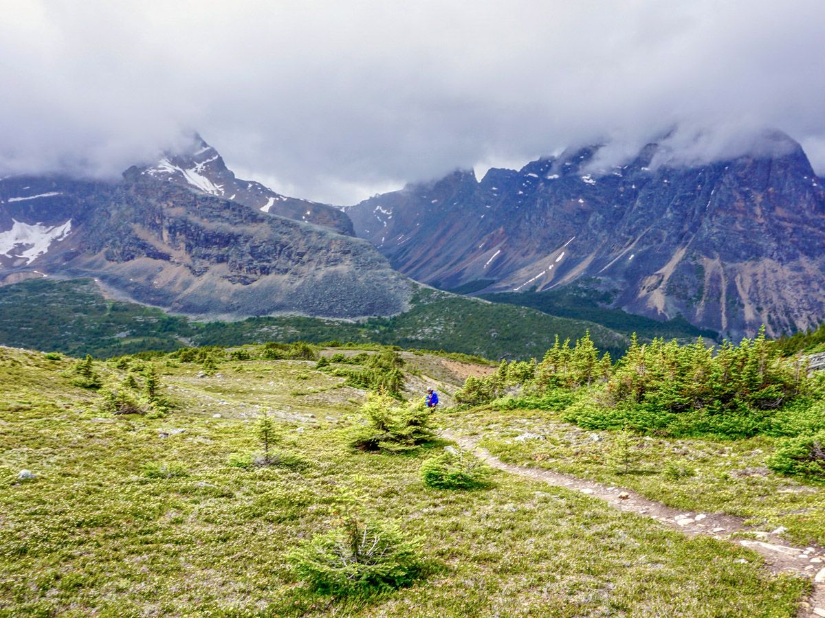 Hikers on a trail of the Verdant Pass Hike in Jasper National Park, Alberta