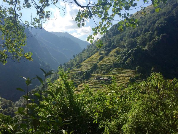 Nature views on the Annapurna Basecamp hike