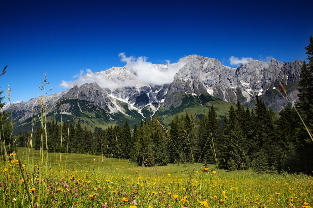 Hochkoenig Mountains can be seen on a hike in Austrian Alps