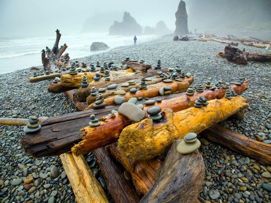 Rocky art at Olympic Peninsula