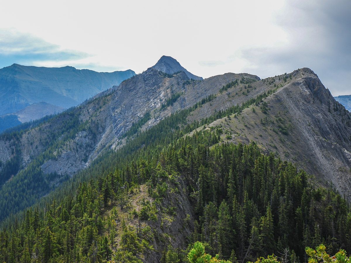 Scenery on the Wasootch Ridge Hike in Kananaskis, near Canmore