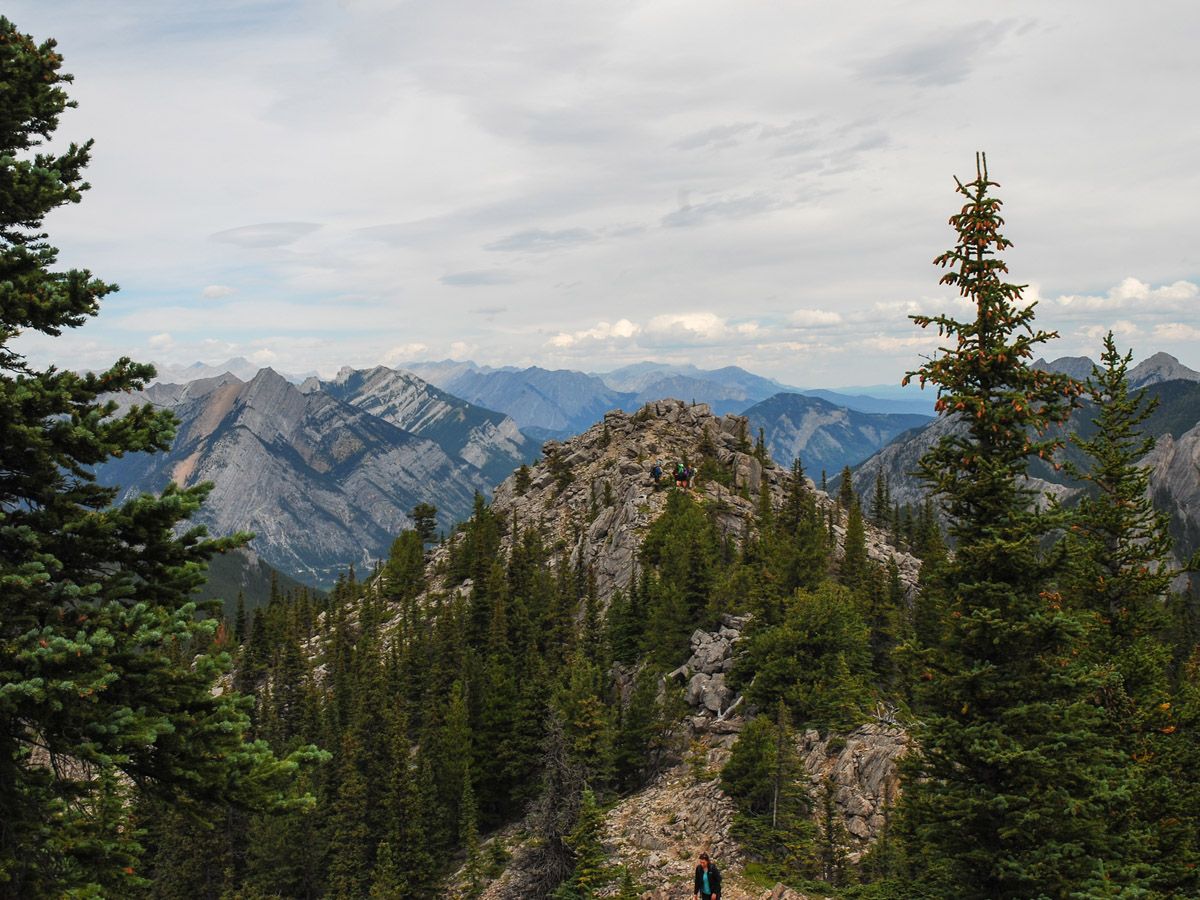 Trees and mountain on the Wasootch Ridge Hike in Kananaskis, near Canmore