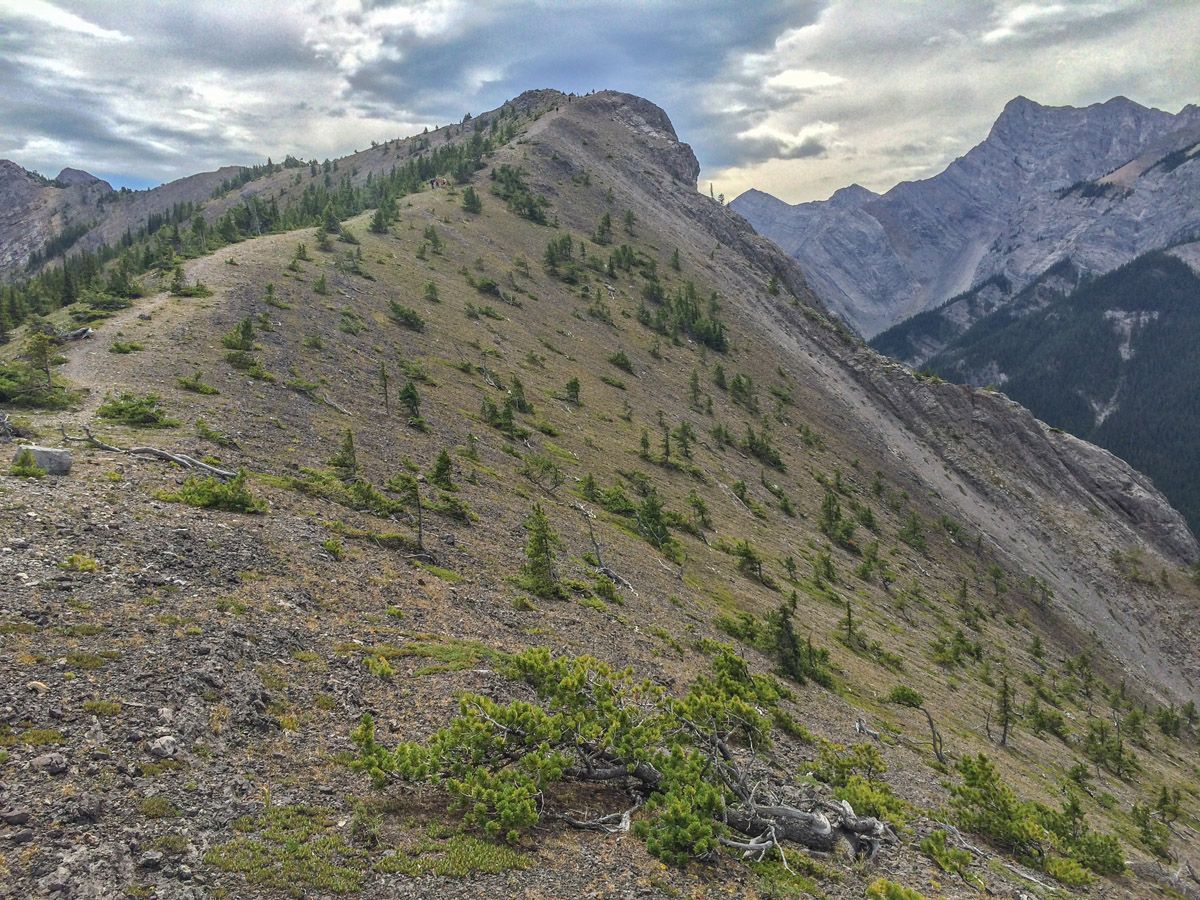 Mountain trail on the Wasootch Ridge Hike in Kananaskis, near Canmore