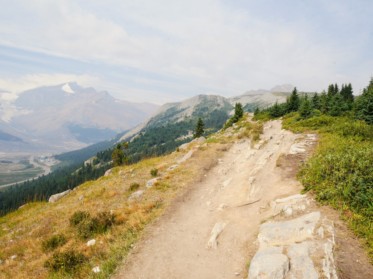 Ridgetop trail on the Wilcox Pass Hike from the Icefields Parkway near Banff National Park