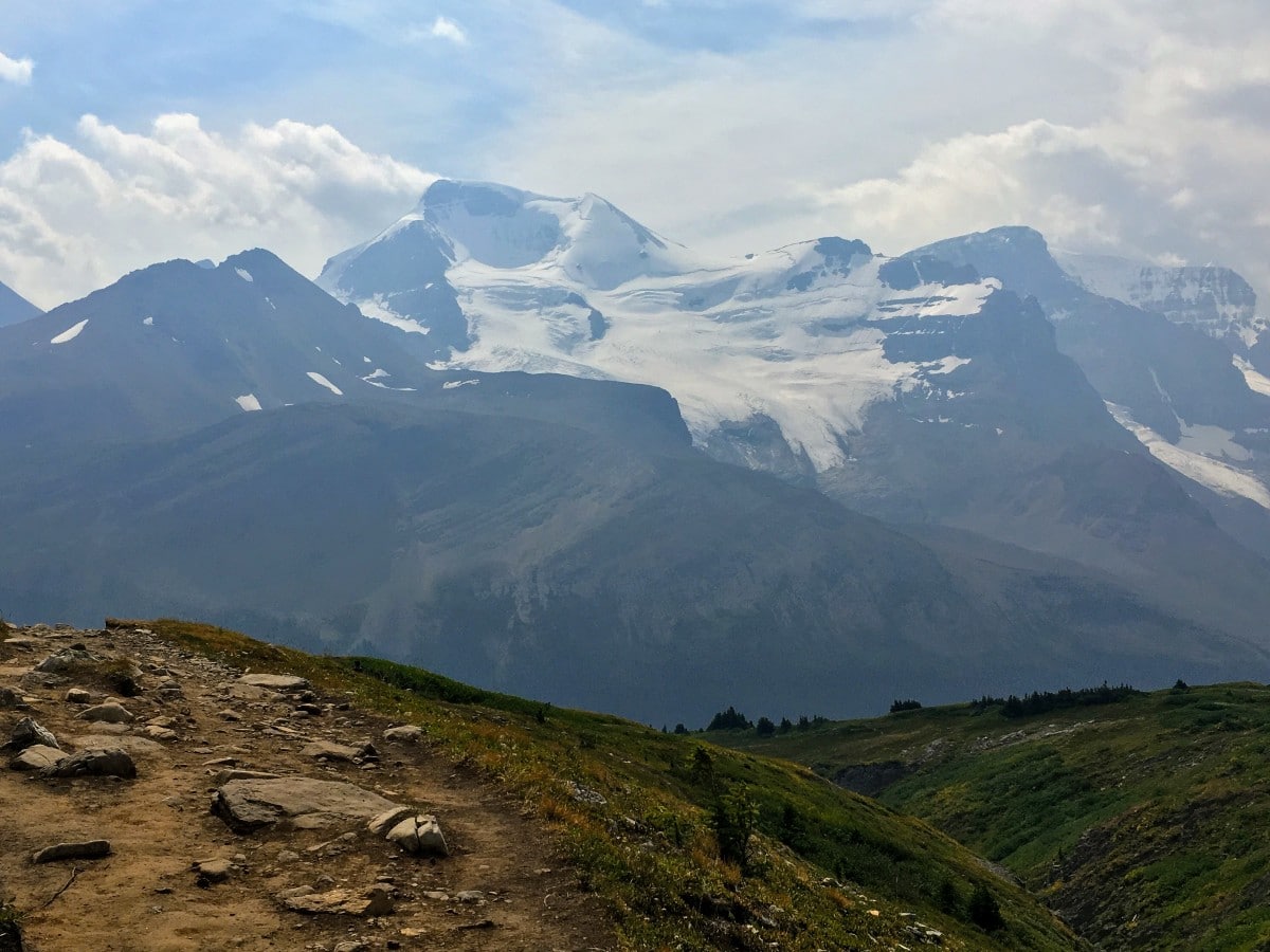 View of Mt Athabasca from the Wilcox Pass Hike from the Icefields Parkway near Banff National Park