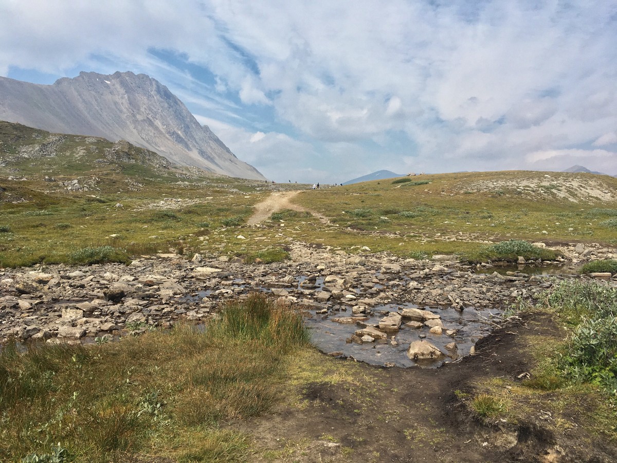 Creek crossing near the summit of pass on the Wilcox Pass Hike from the Icefields Parkway near Banff National Park