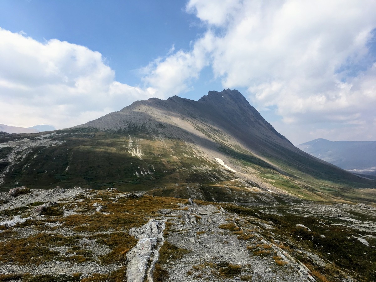 Limestone ridges leading to Wilcox Peak on the Wilcox Pass Hike from the Icefields Parkway near Banff National Park