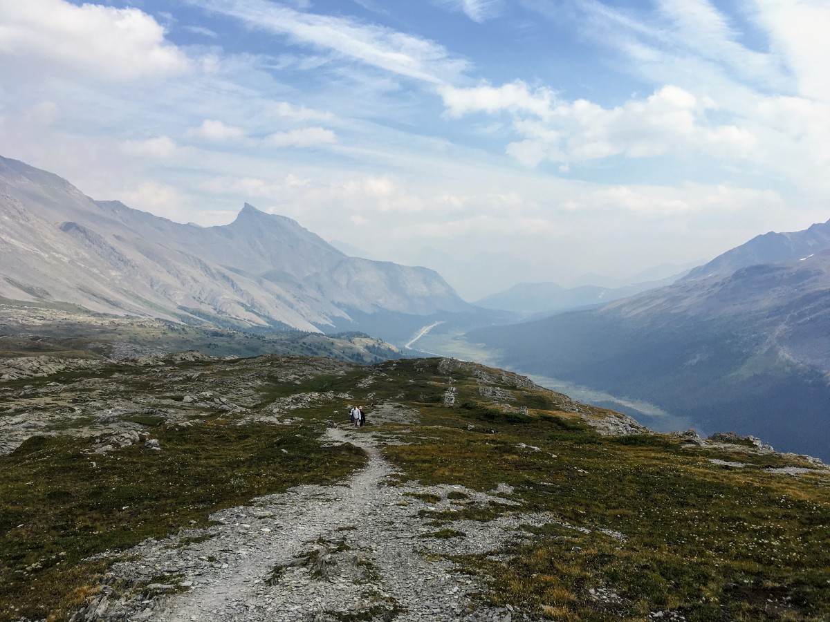 View south along Icefields Parkway from Wilcox Ridge on the Wilcox Pass Hike from the Icefields Parkway near Banff National Park