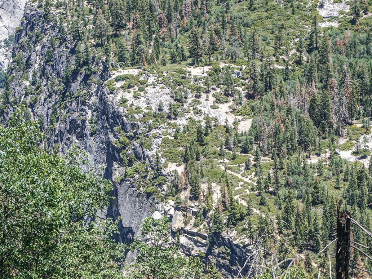 Woods at Yosemite Boot Route Hike in Yosemite National Park