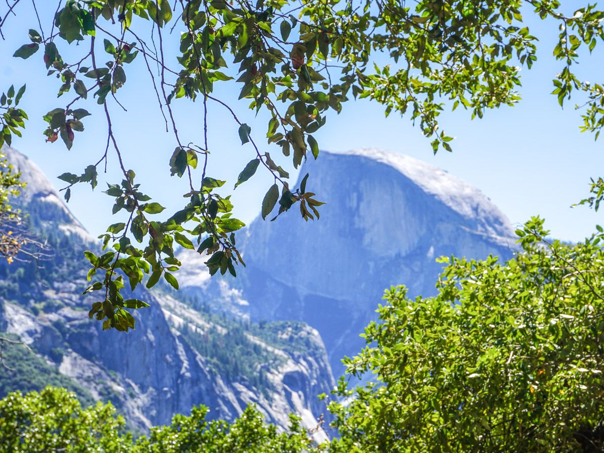 Yosemite Falls Hike in Yosemite Valley rewards with great views