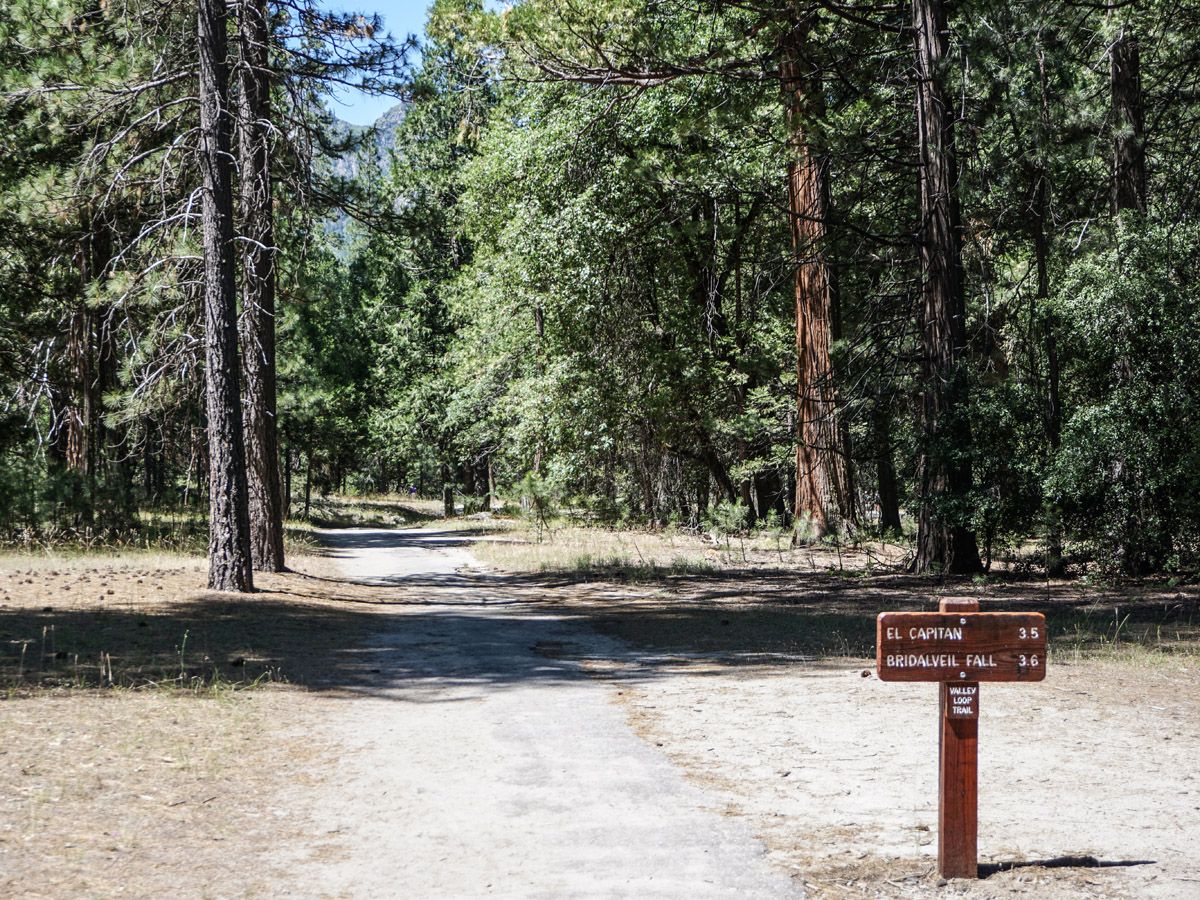 Wooden sign at Yosemite Valley trail in Yosemite National Park