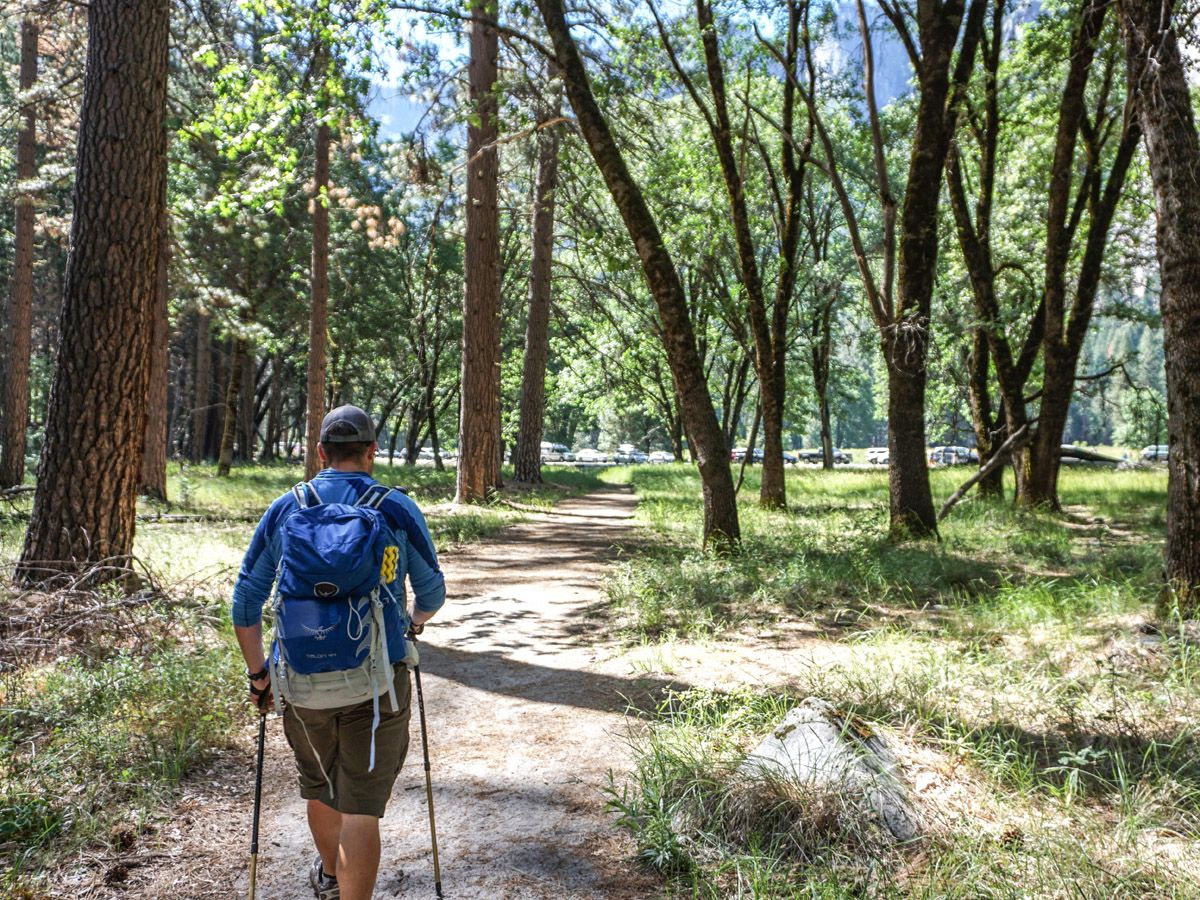 Man hiking on trails through the woods at Yosemite Valley Hike at Yosemite National Park