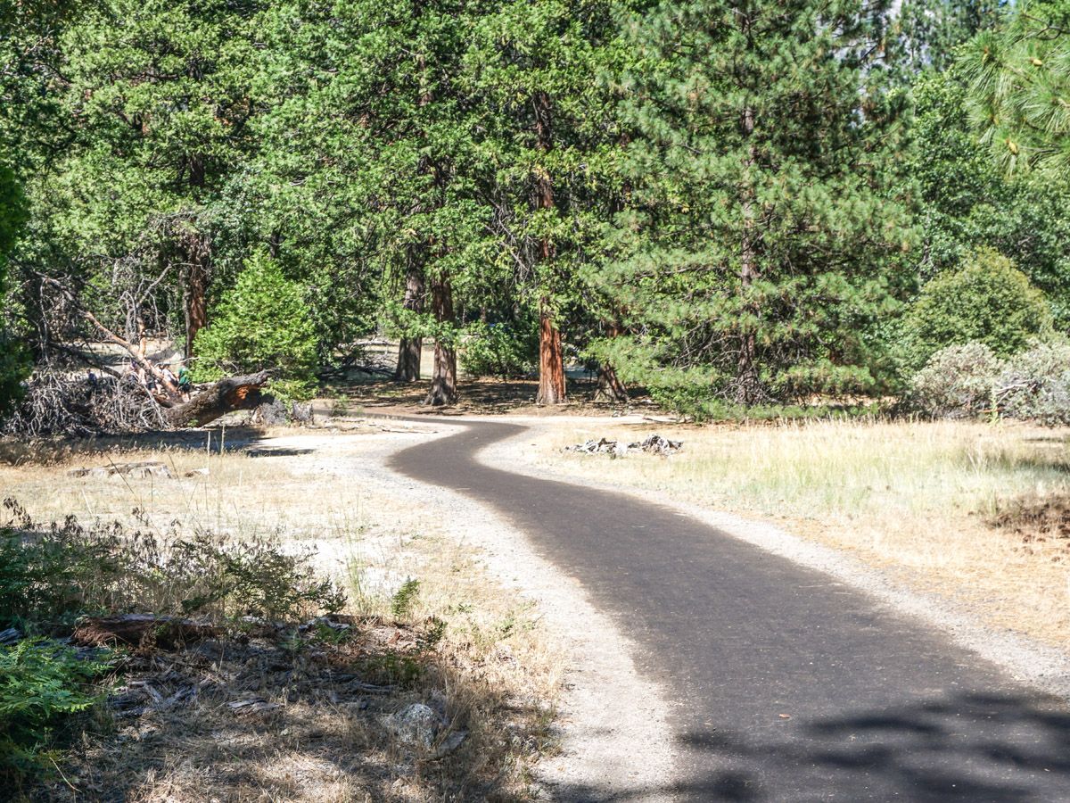 Wide trail on Yosemite Valley Hike at Yosemite National Park