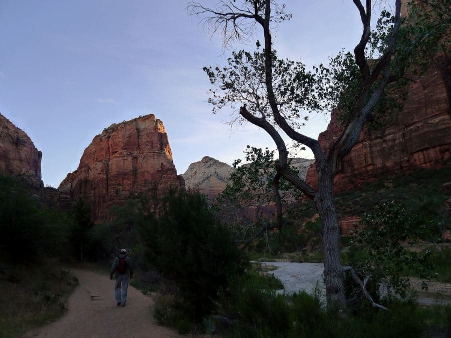 Angel's Landing trail must be included in planning your trip to Zion National Park
