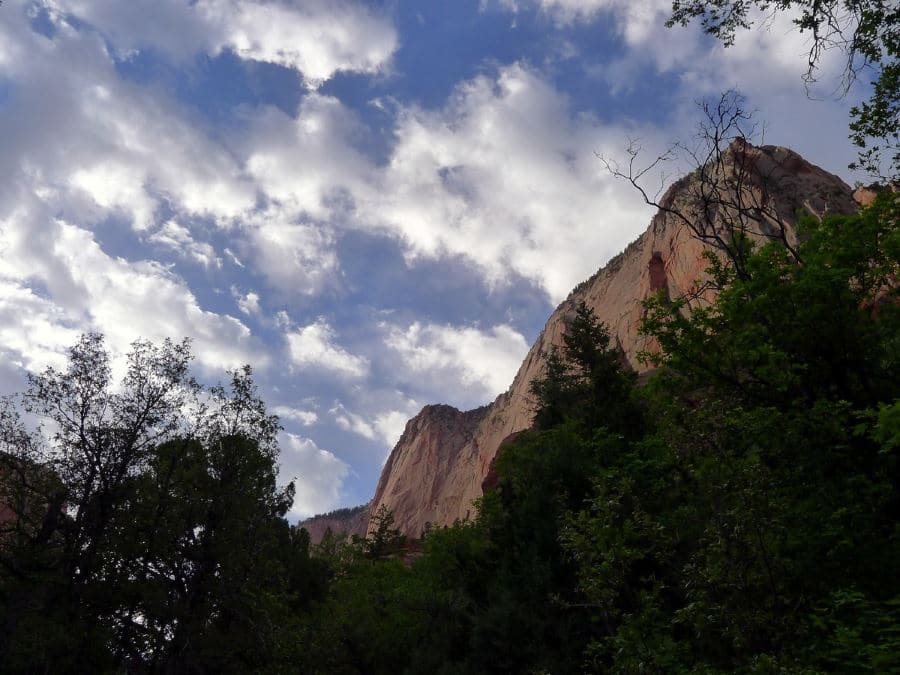 Taylor Creek Trail is a must-visit place in Zion National Park