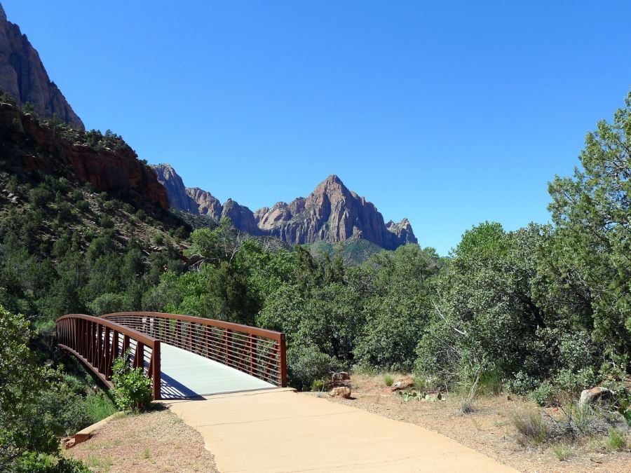 Visiting Pa'rus Trail is a must-do in Zion National Park