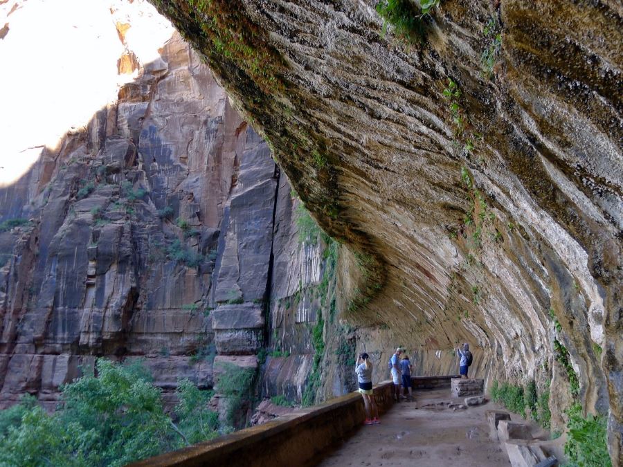 Weeping Wall in Zion National Park is a must-see place