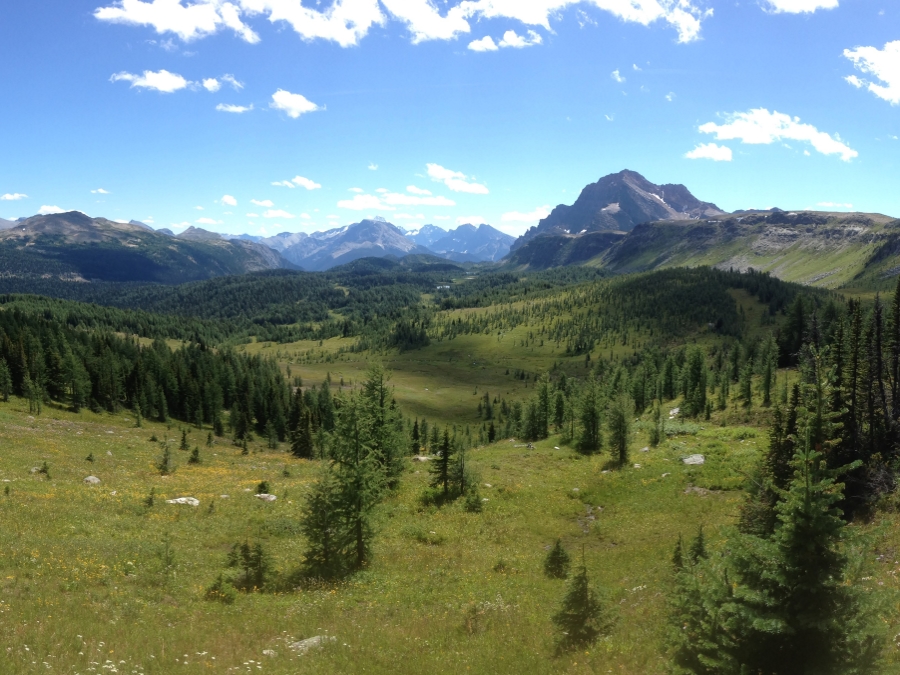 North Side of Healy Pass near one of best backcountry campgrounds in Banff National Park