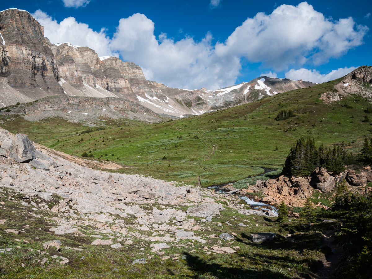 Meadows on the south side of Molar Pass on Sunshine Village to Mt. Assiniboine backpacking trail in Banff National Park