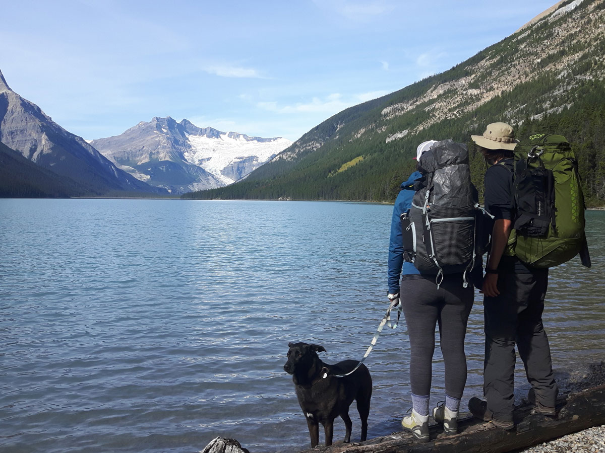 Two hikers and a dog on Glacier Lake Backpacking trail in Banff National Park