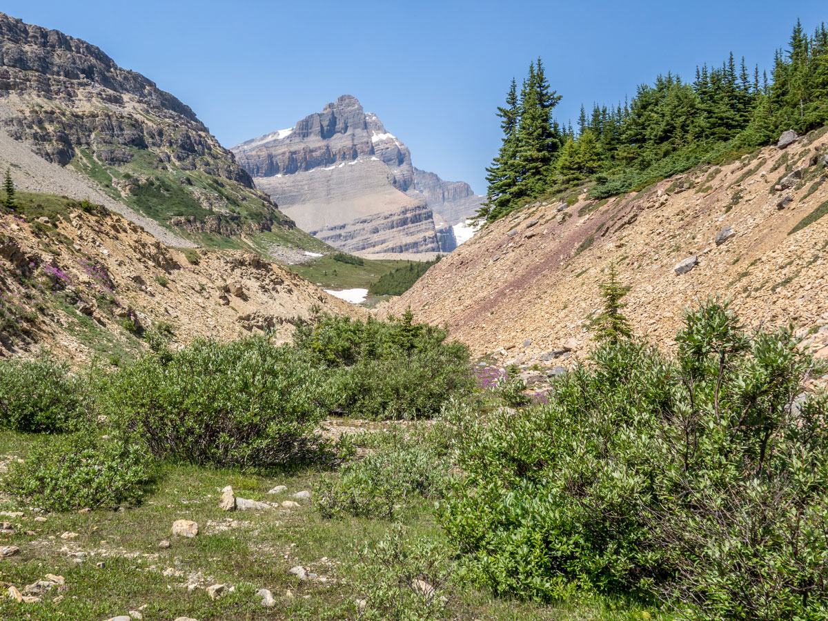 Trail to Iceberg Lake on the Onion scramble in Banff National Park