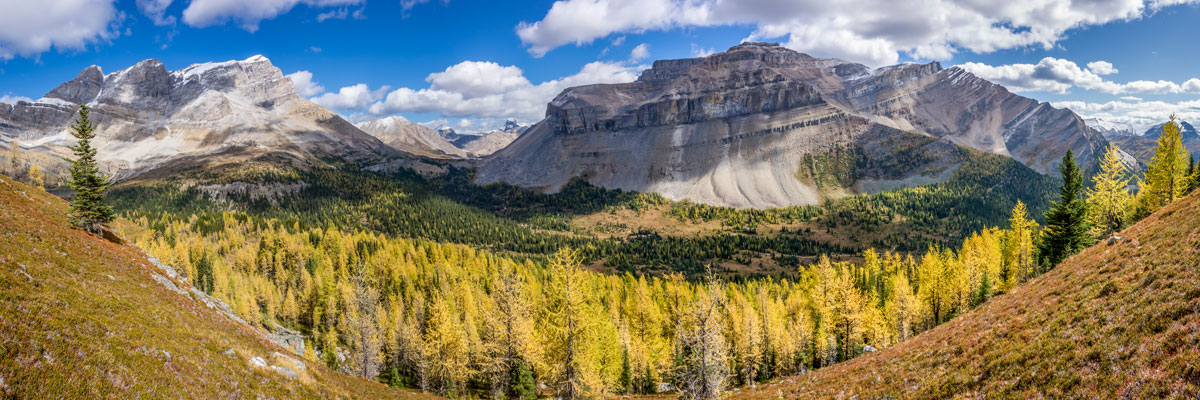 Autumn on Mount Richardson scramble in Banff National Park