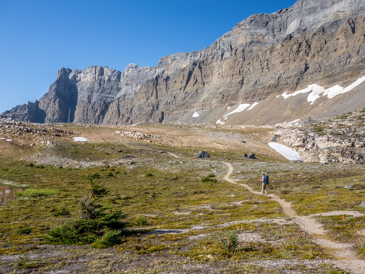 Approaching the highpoint of Crowfoot Pass on Bow Peak scramble in Banff National Park