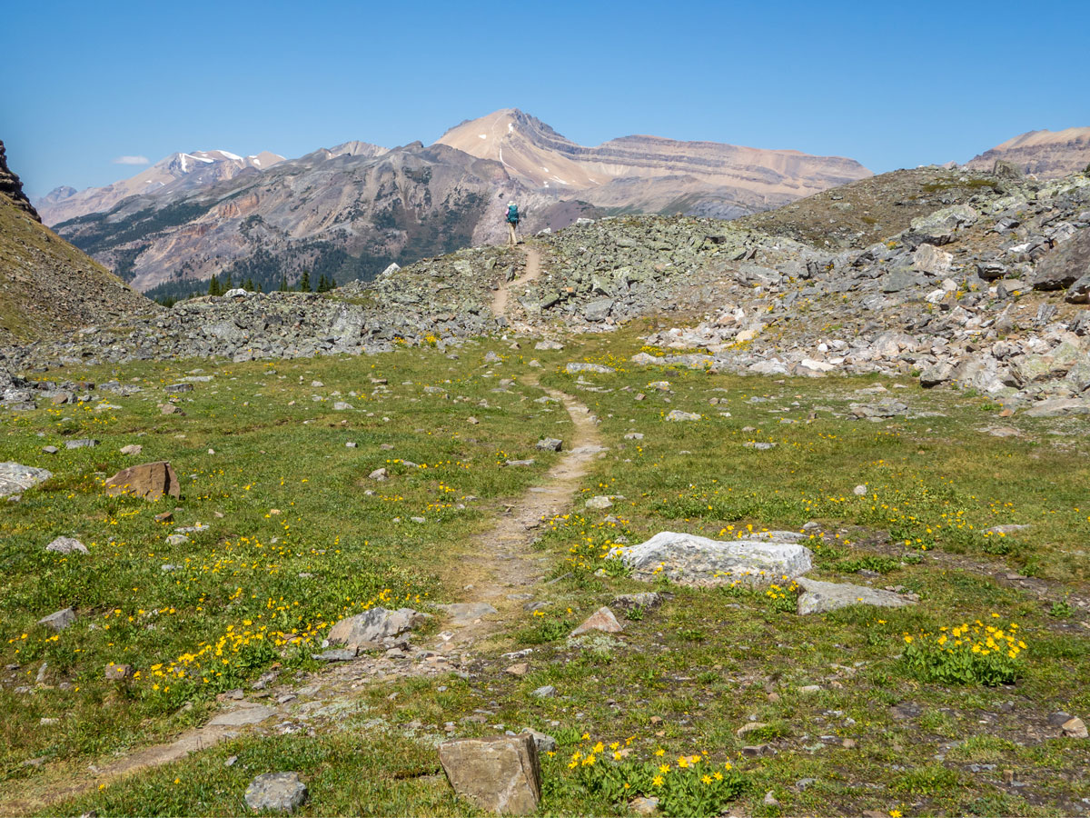 Trail of Bow Peak scramble in Banff National Park