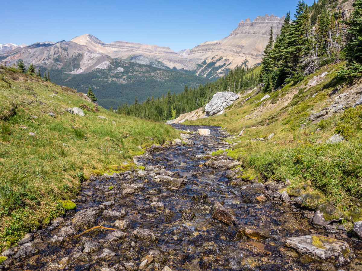 The stream on Bow Peak scramble in Banff National Park