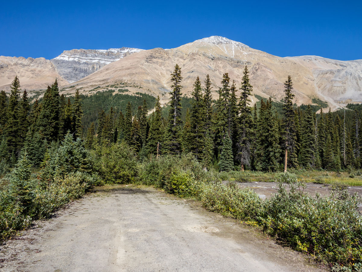 End of access road on Observation Peak scramble in Banff National Park