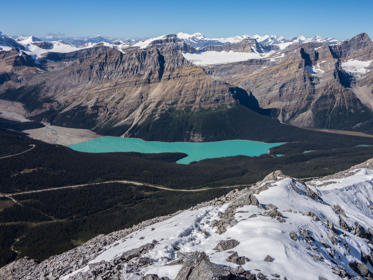Peyto Lake as seen from Observation Peak scramble in Banff National Park