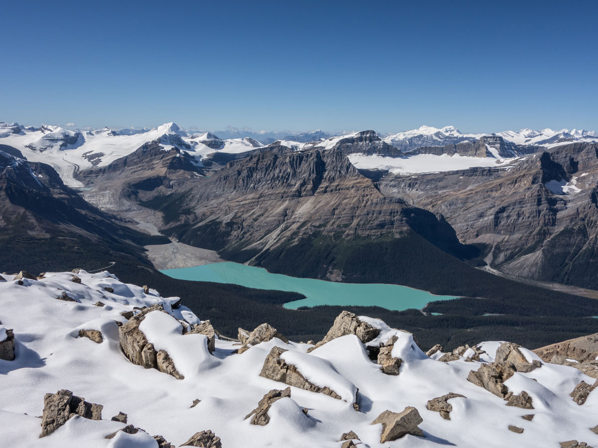 Peyto Lake view on Observation Peak scramble in Banff National Park